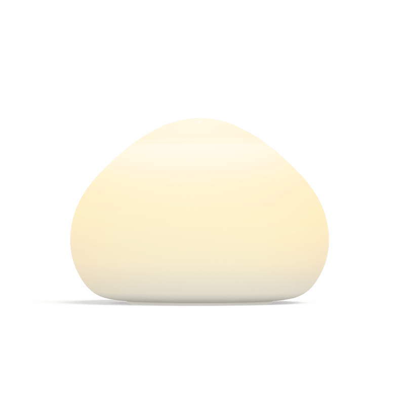 Philips Hue Wellner - Product image