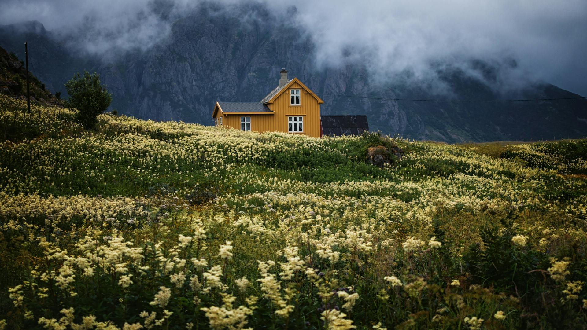 Yellow norwegian house