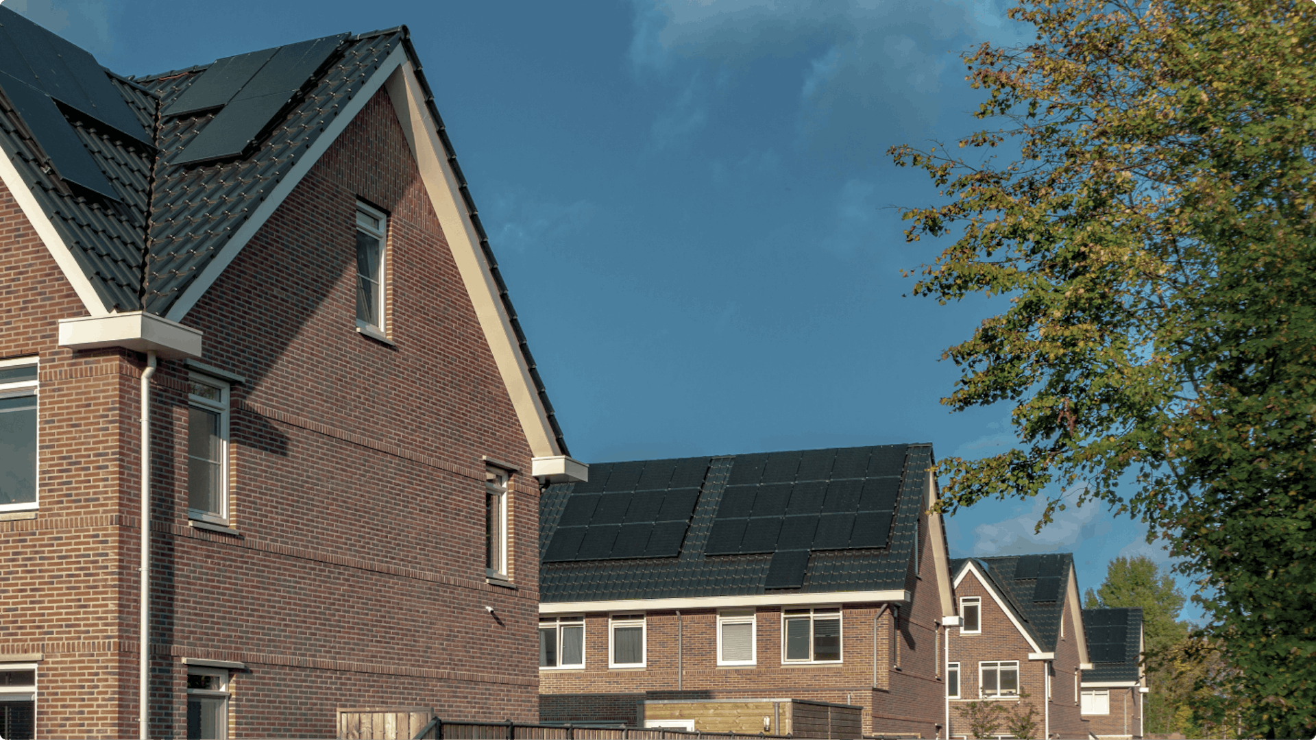 solar NL mag header