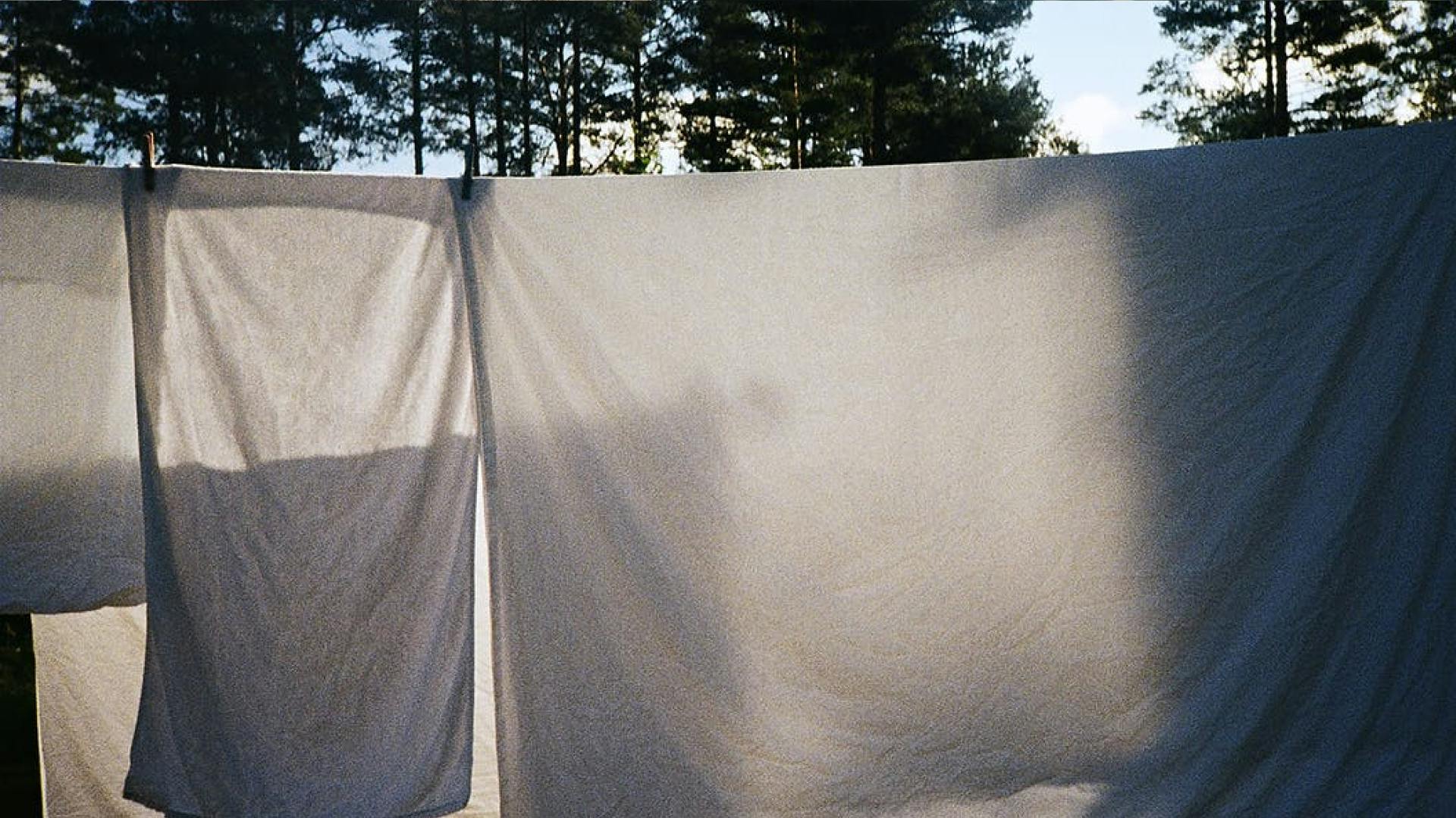 Mann lehnt sich über seinen Tesla