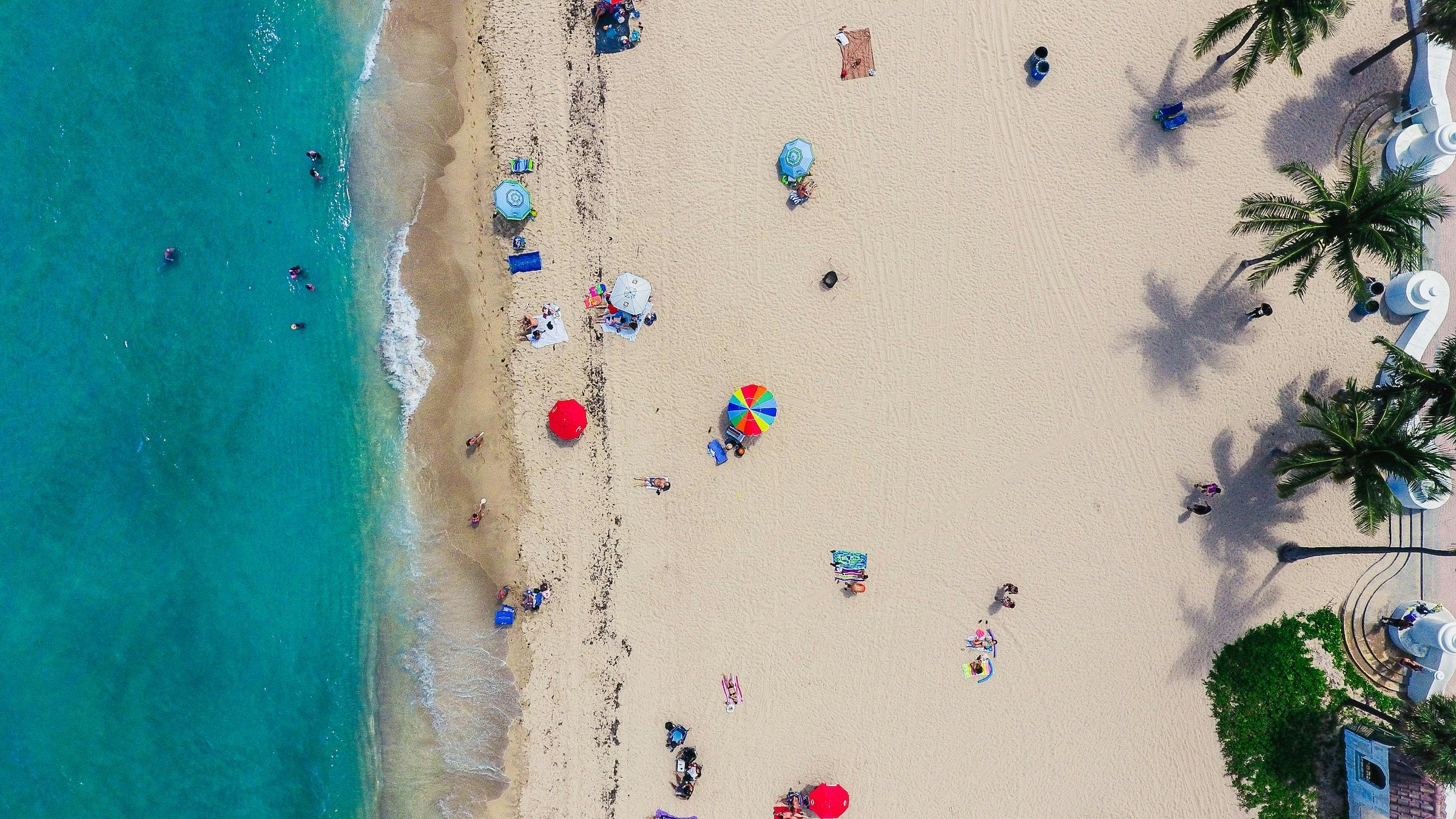 Luchtfoto van zee en strand met parasollen en palmbomen