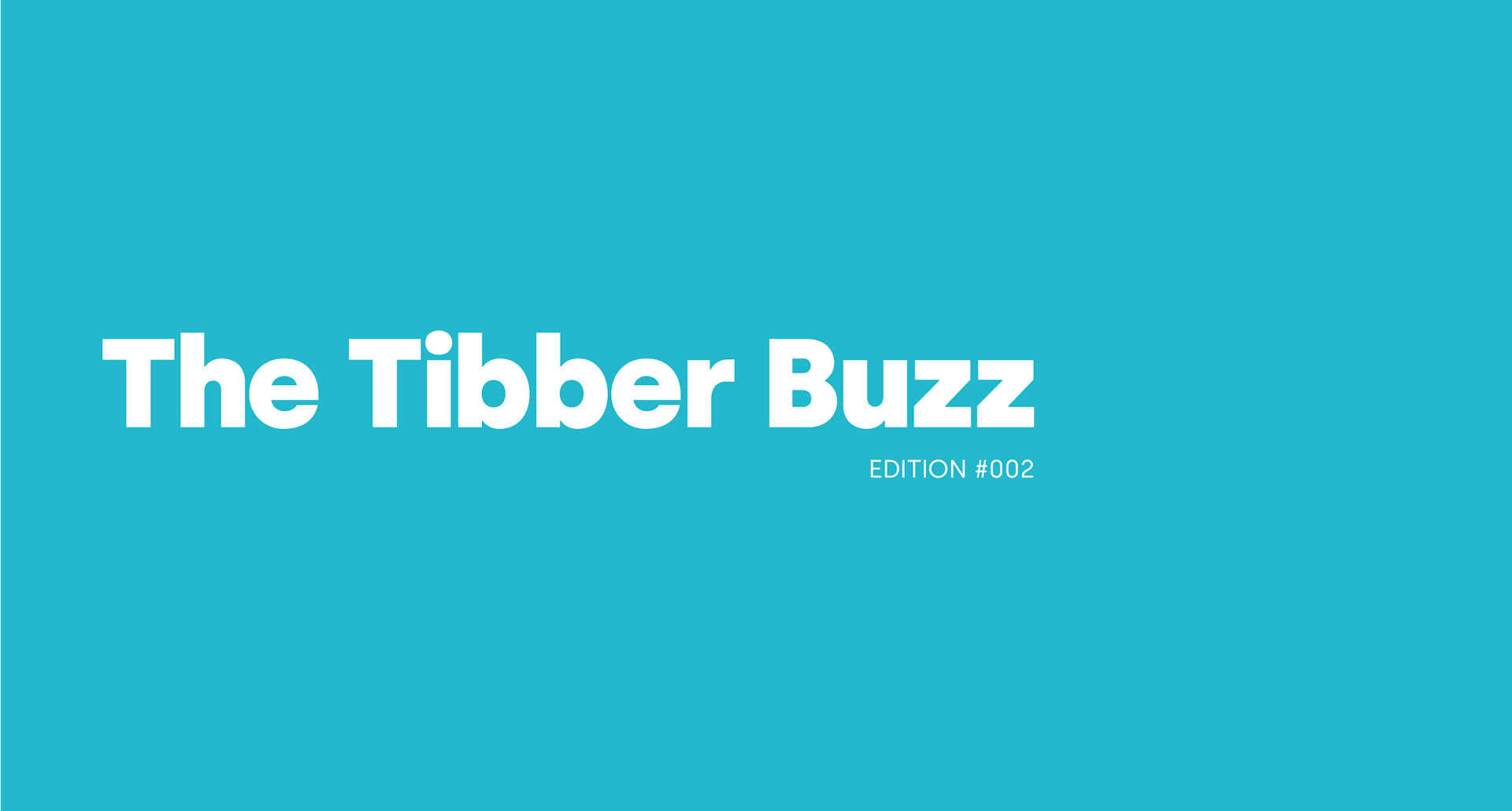 Tibber Buzz 002